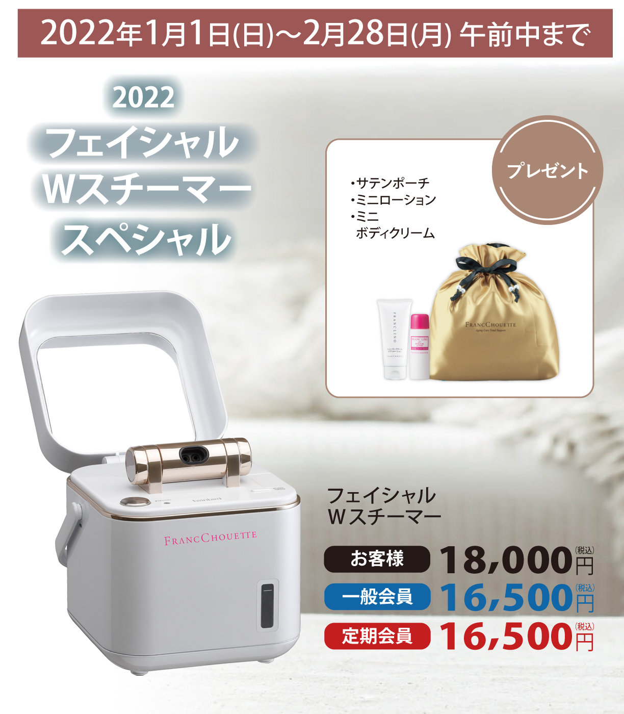 フェイシャルWスチーマー