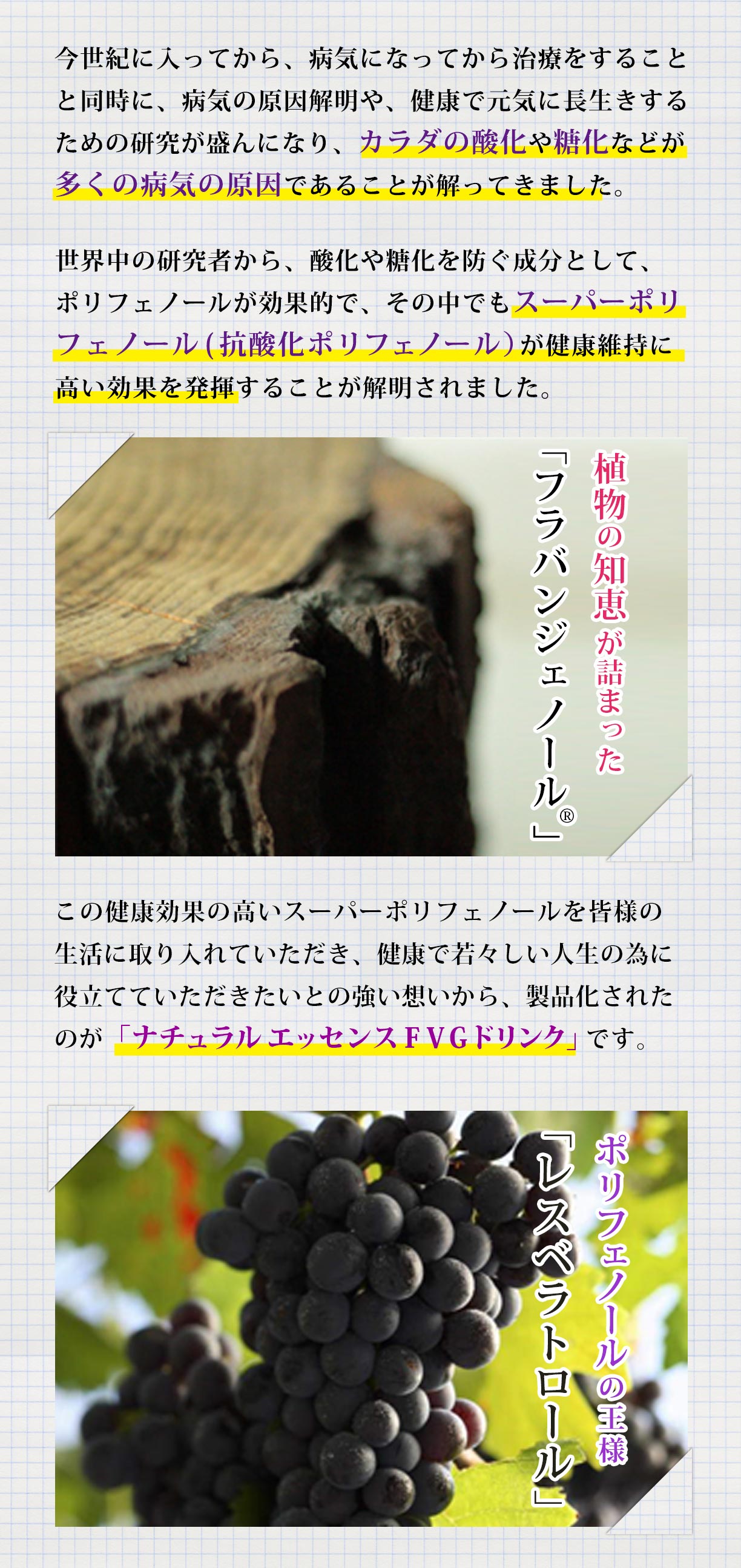 「フラバンジェノール 」  