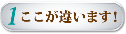 ここが違います！